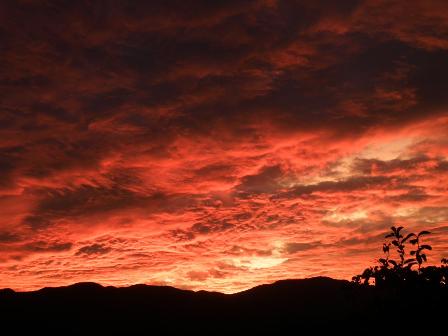 9��2��AM5��15����