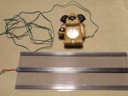 �s�����m�点�A���[��