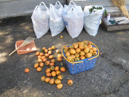 ���n�����`