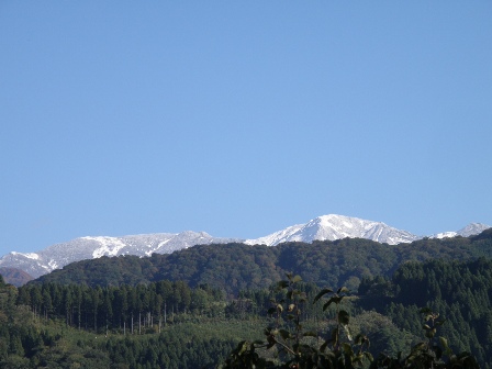 ����猩���R