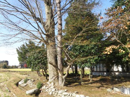 11/27���݂��̖�