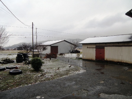 �����͐^����