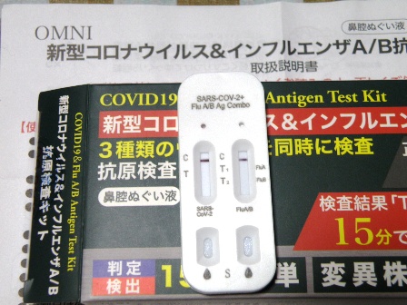 �����ŉA���̔���