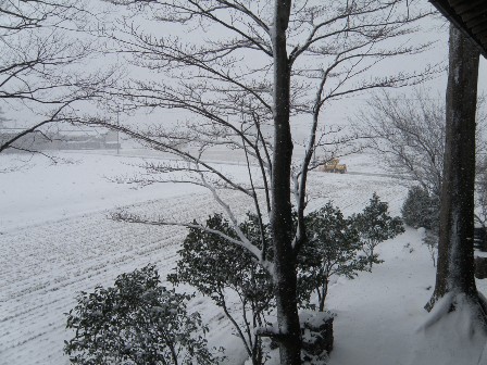 �{��11�������̐���