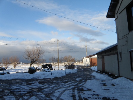 �{��16�����̒�̗l�q