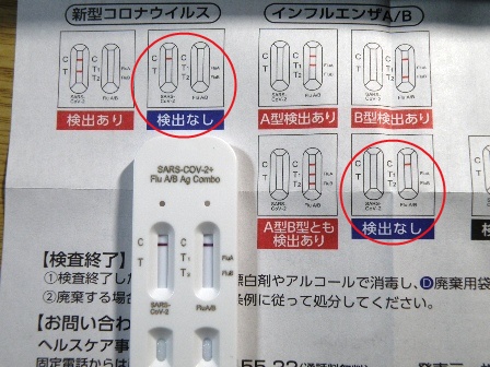 1/11�����L�b�g�ɂĉA������