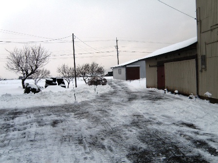 1/26���L�I�X�ŏ����̒��