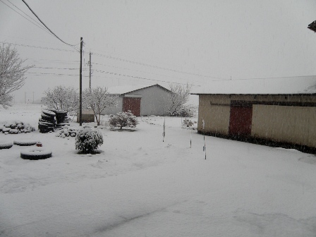 �{��16�����̒��