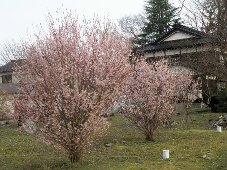 ���30���[���B�e�������̍�