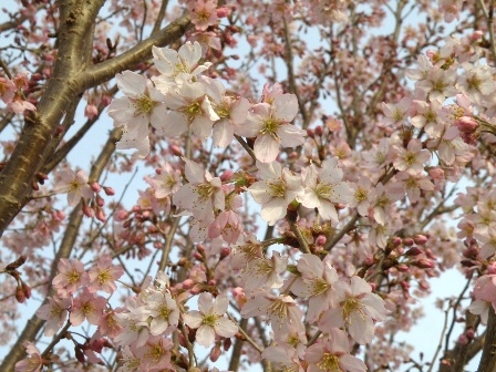 �i���30���[���B�e�������̍��j