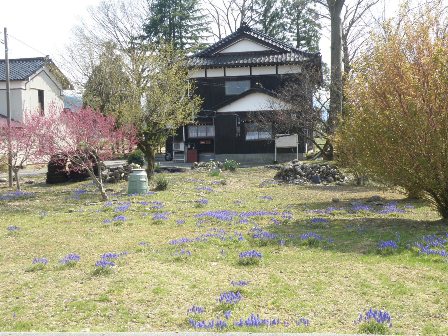 �������̔�