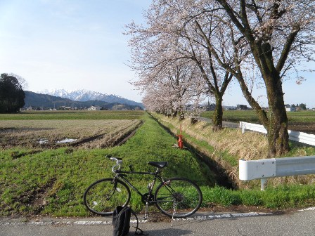 ����߂��̍�����