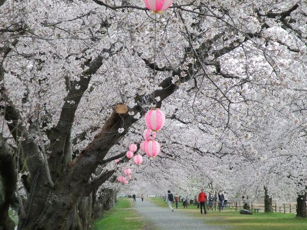 �M��ׂ�̍�