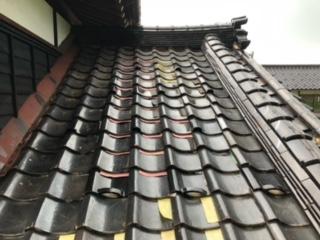 ��M�ʐ^_�C����̏��