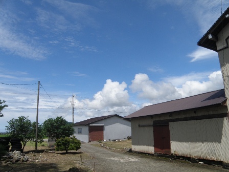 ���߂��̐�