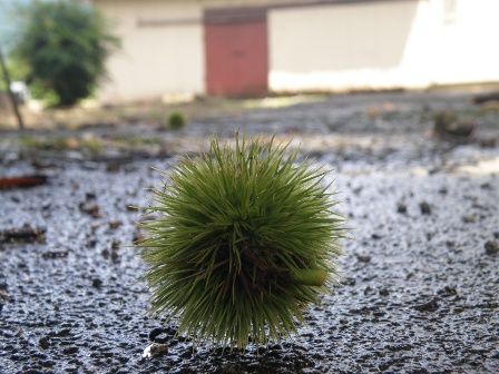 �����n�߂Ă����I