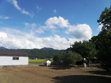 �������������i�ߌ�B�e�j