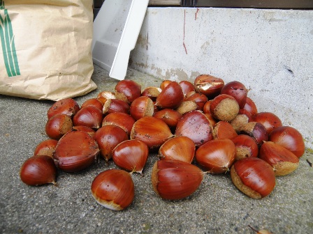 �����Ă��I