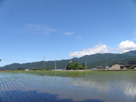 ���c�i���N6���Ƃ̑O�̐��c�j