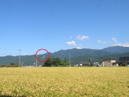 �������O�~�i���j