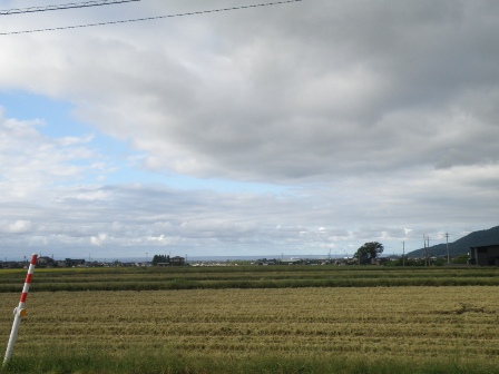 �ϑ����Ă���c���