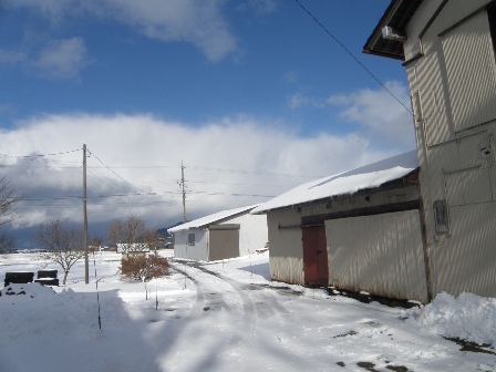 �����̒��