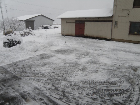 �����̒��i�����j