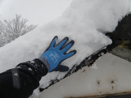 �D�����̐ϐ�