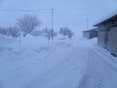 �����̒��i�[���j