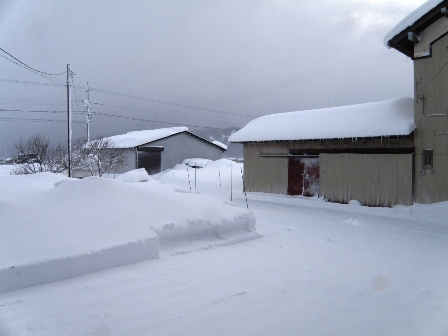 �����̒��̗l�q