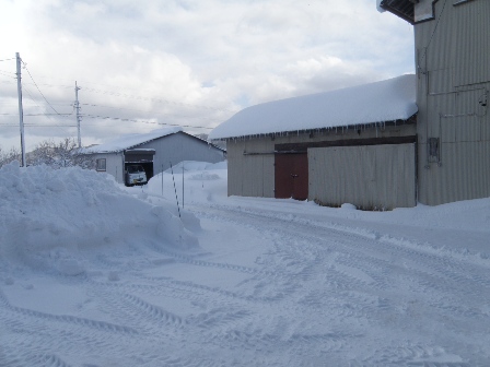 �����̒��̗l�q