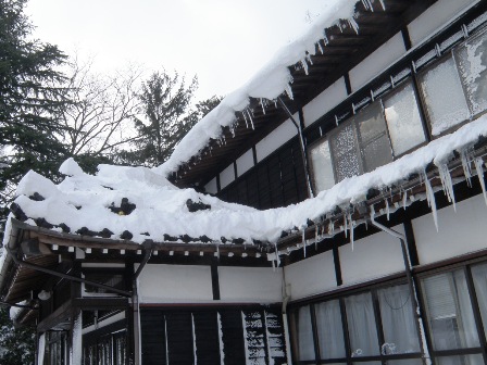 �����Ꮘ����̗l�q