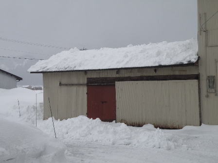 ������𗎂Ƃ����l�q