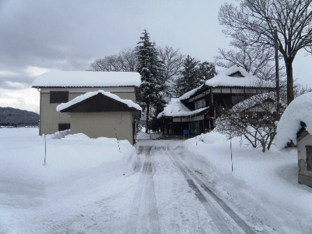 �����̒��̗l�q