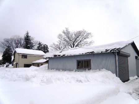 �����̎Ԍɓ����̗l�q