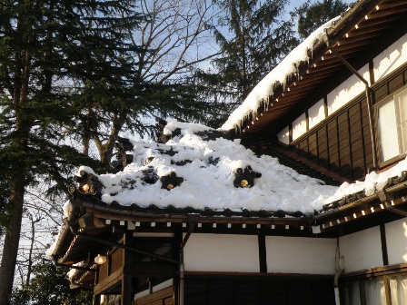 ������~�낵��̗l�q