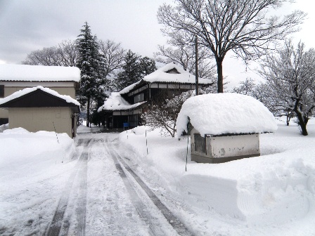 10���i���j�̒�̐�