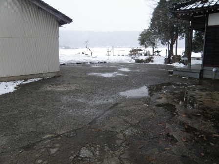 �����̒��̗l�q