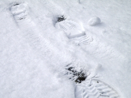 9��������̒�̐ϐ�