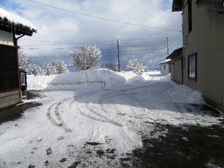 �����̒��̗l�q