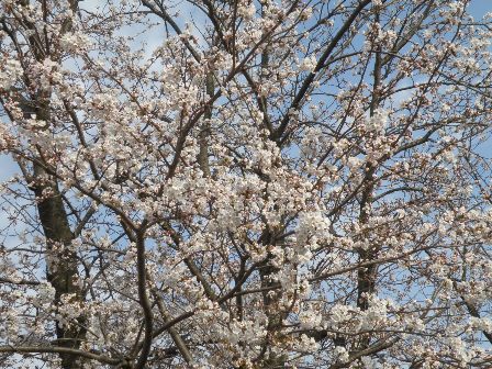 �\���C���V�m