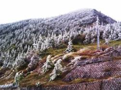 �����؁X�̎ʐ^