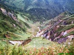 �ቺ�ɍL����΂̎ʐ^