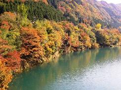 �g�t�����΂炵���_�ʋ�