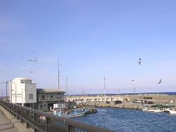 �C�̔Z�����ɃJ�S�������������Č������I