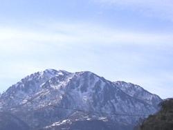 �X�L�[���������Ȃ�R�̌��i���I