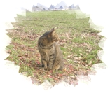 �����A�l�Y���̋C�z�I�I