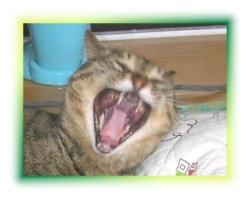 �傫�ȃA�N�r������s�������I