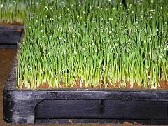  [ 09.04.25���B�e ]�@��Q�����O��