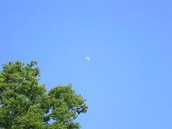 �U���P���B�e